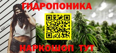 мдпв Жуковский
