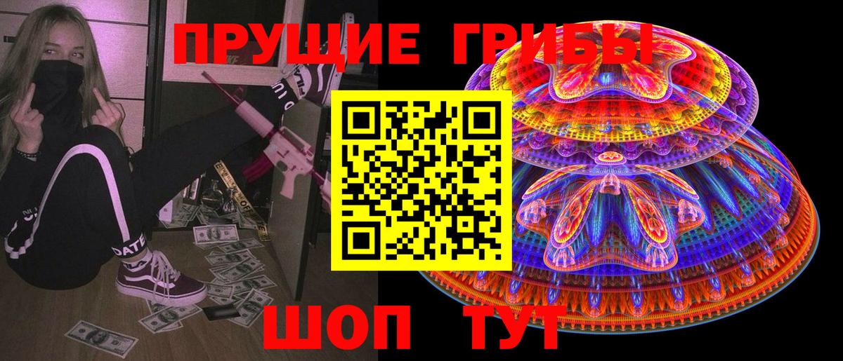 где купить наркотик  Псилоцибиновые грибы Cubensis  Вход с VPN  Кыштым 
